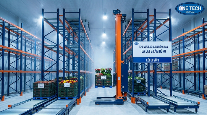 Stacker-Crane cho kho lạnh nông sản tại Đà Lạt và Lâm Đồng