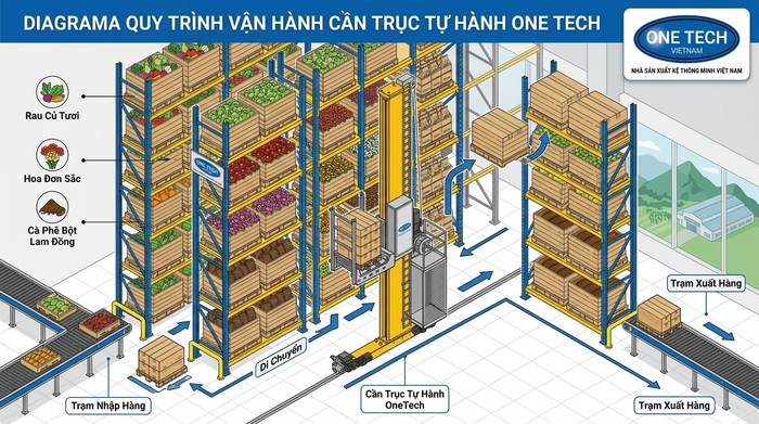 Sơ đồ hoạt động của Stacker-Crane Lâm Đồng trong kho tự động